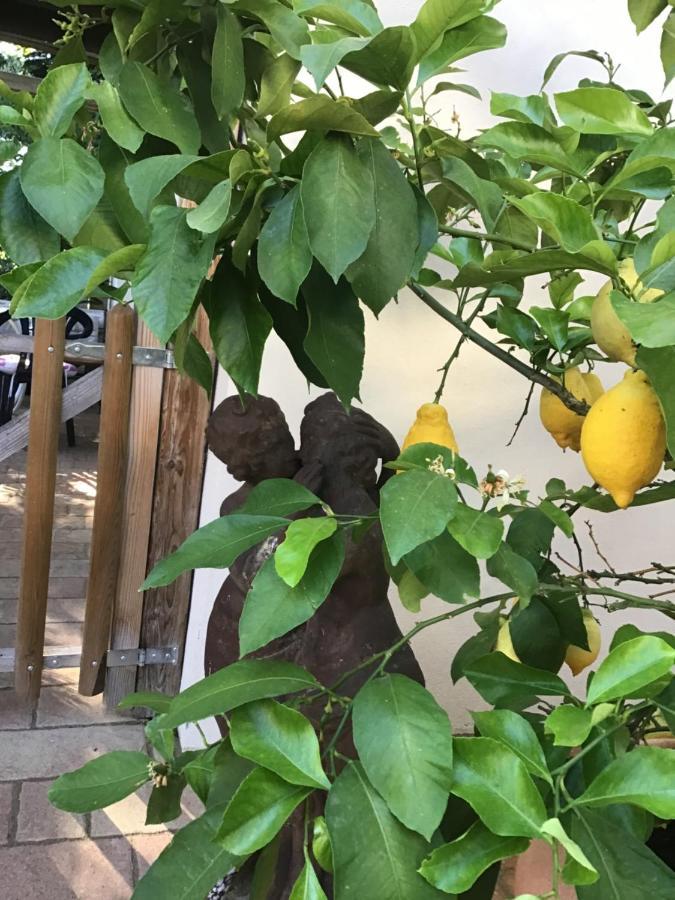 Appartamento Lechraum In *